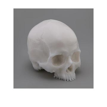 APOF "Yorick" Skull